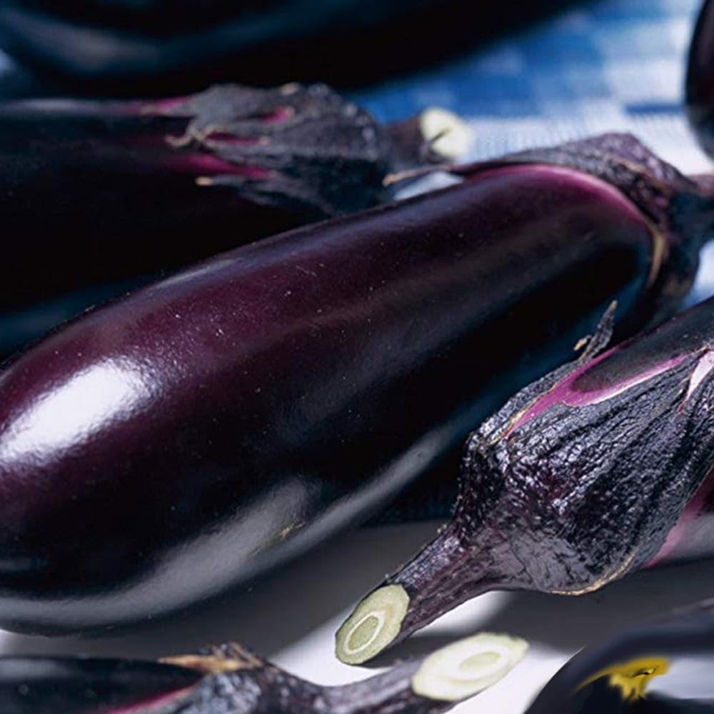 Amazon.co.jp: ITANSE なすの苗 とげなし千両二号なす 接木苗 3